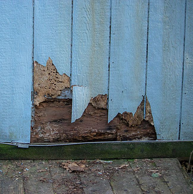  picture of damaged wood siding as ideal candidate for new vinyl siding.